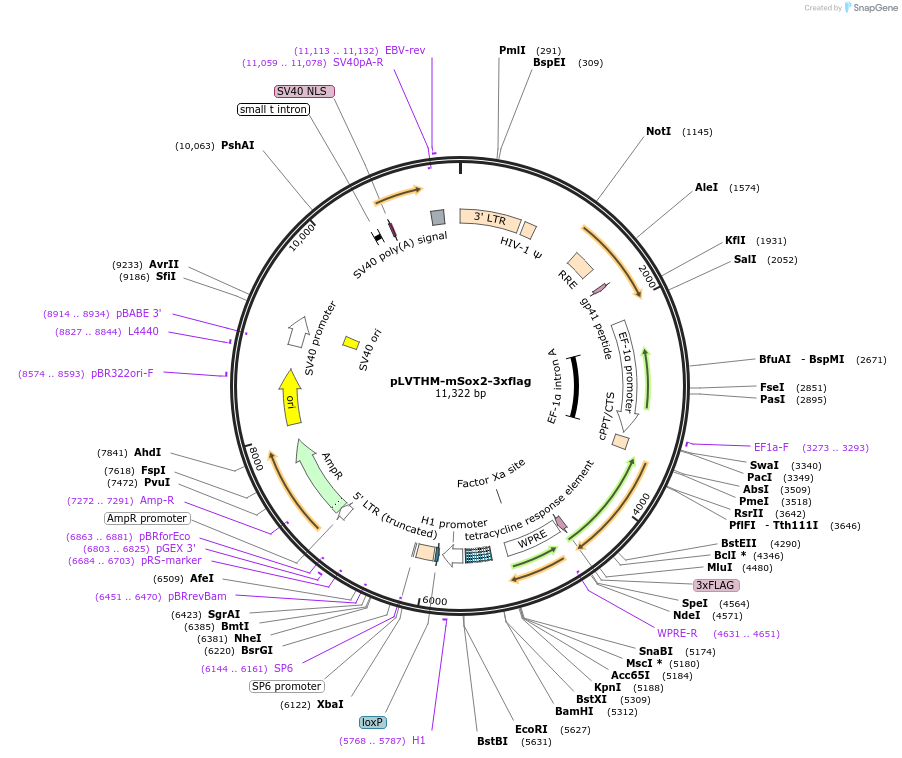 410024_map