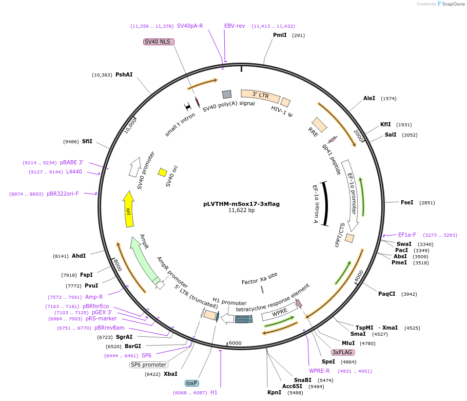 410026_map