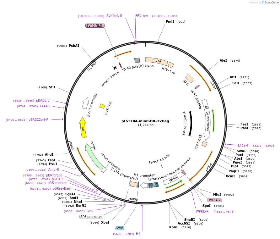 410027_map