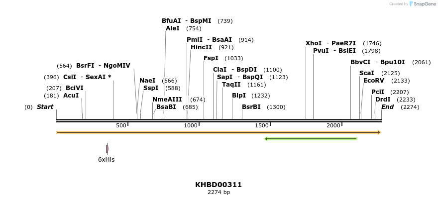 41003_map
