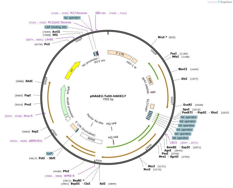 410039_map