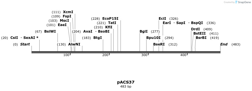 410058_map