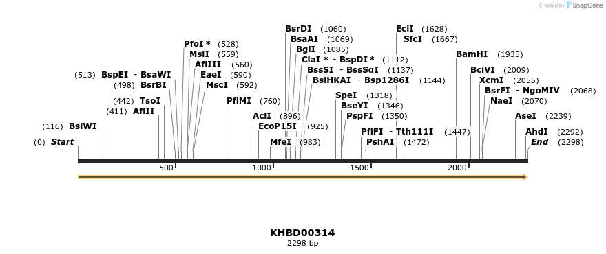41006_map