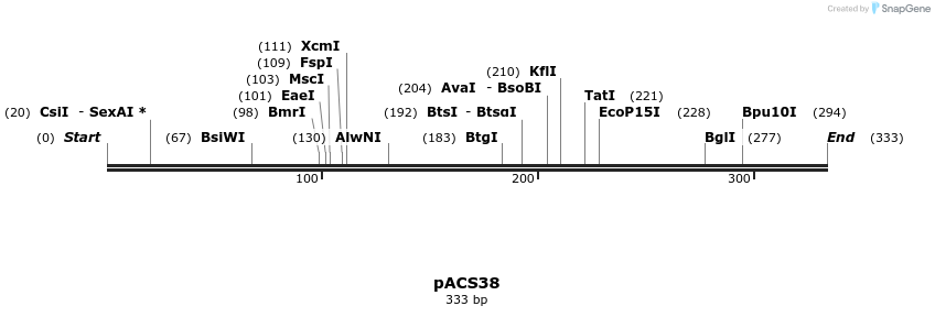 410063_map