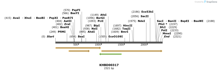 41009_map