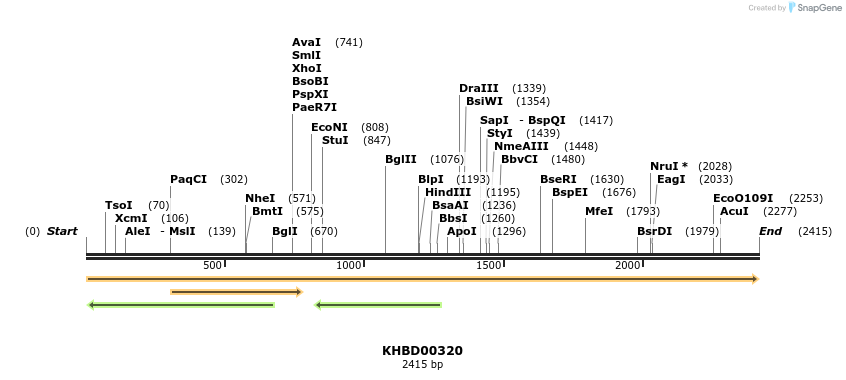41012_map