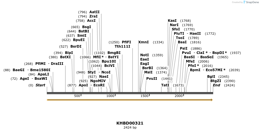 41013_map