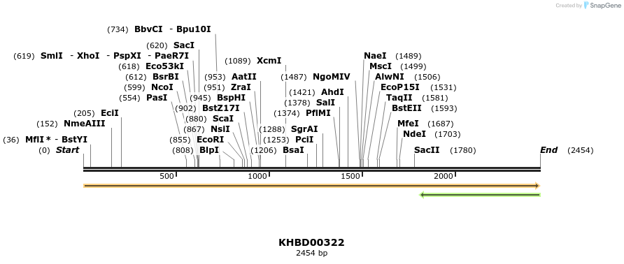41014_map
