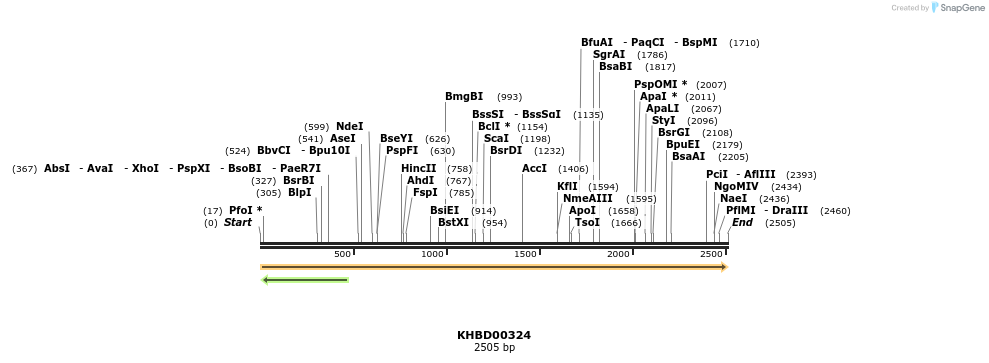 41015_map