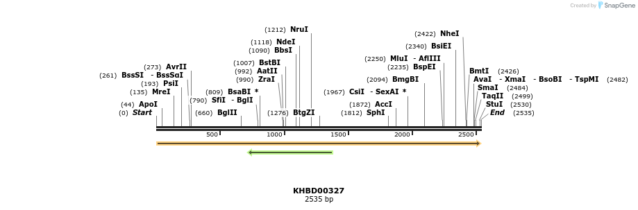 41017_map