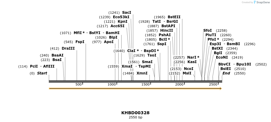 41018_map