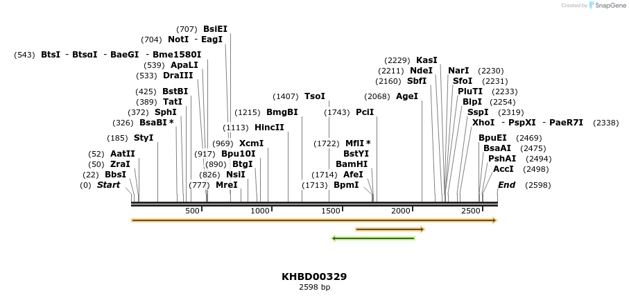 41019_map