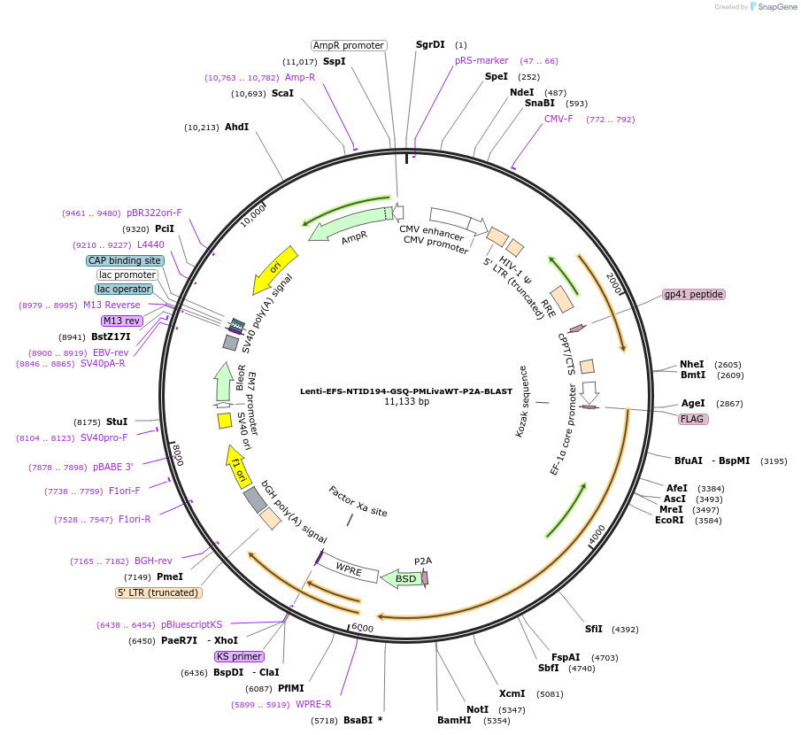 410203_map