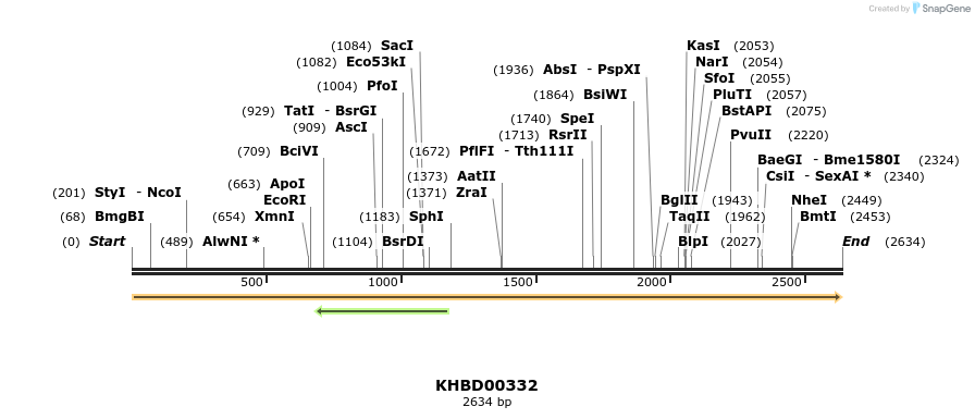 41022_map