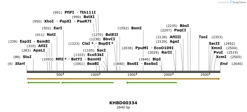 41024_map