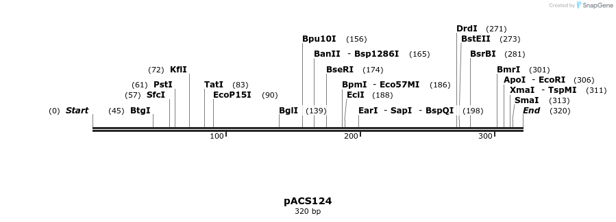 410253_map