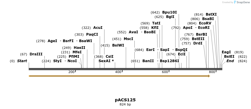 410255_map
