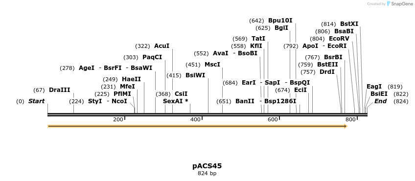 410257_map