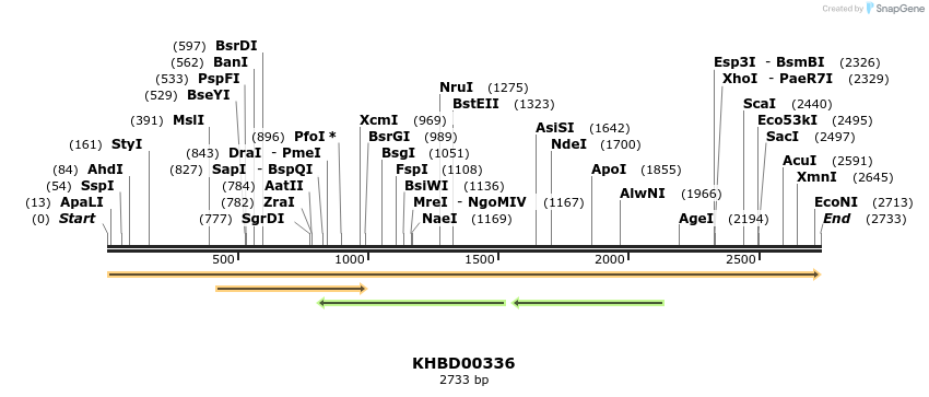41026_map