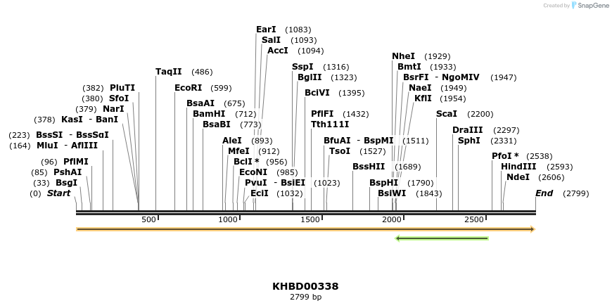 41028_map