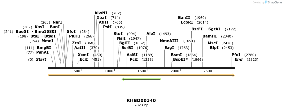 41030_map