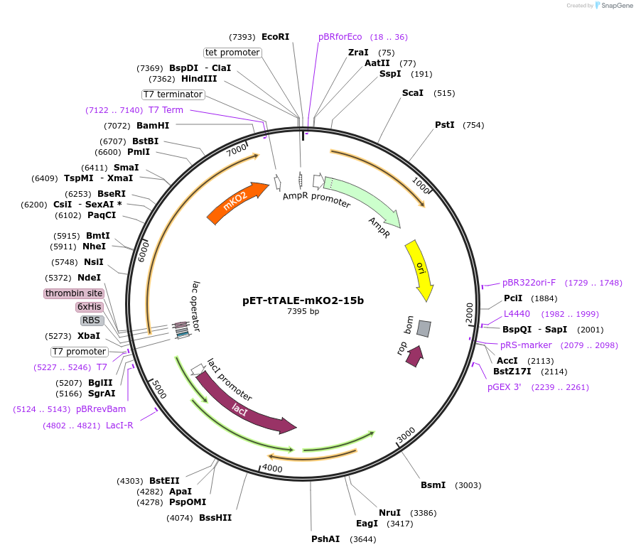 410300_map