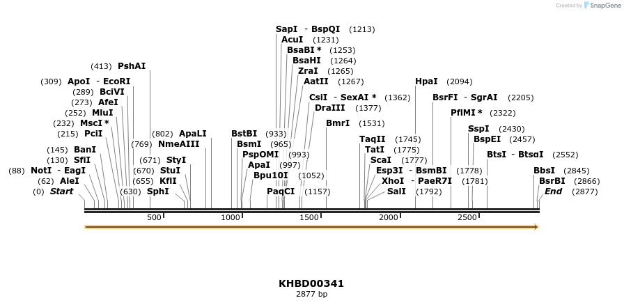 41031_map