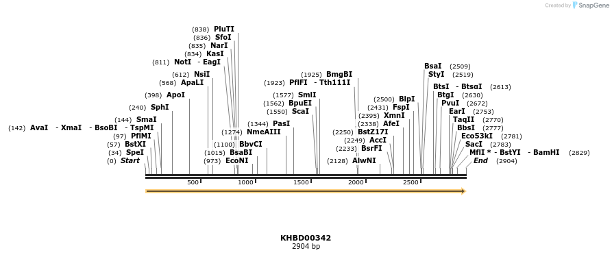 41032_map
