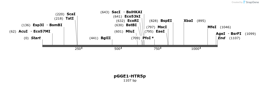 410332_map