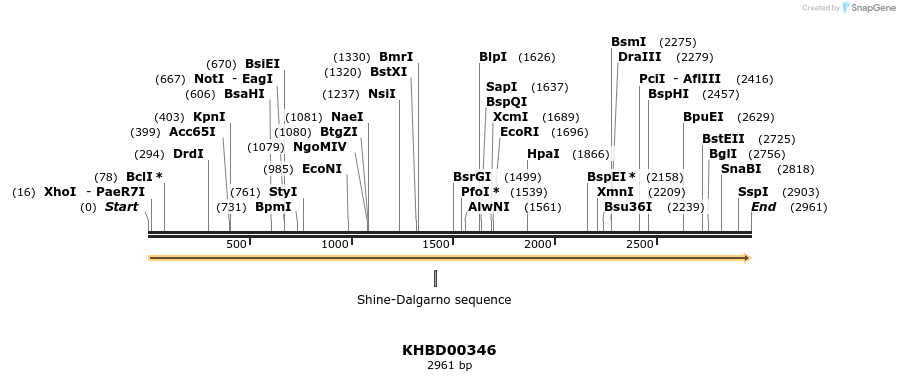 41035_map