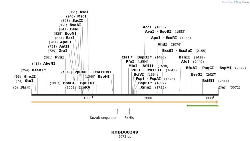 41037_map