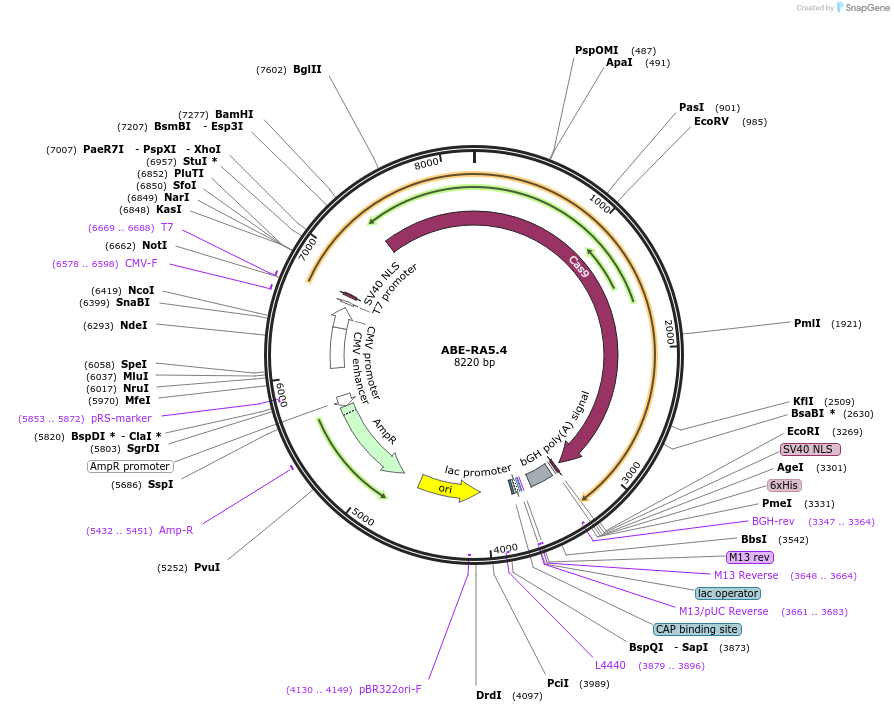 410389_map