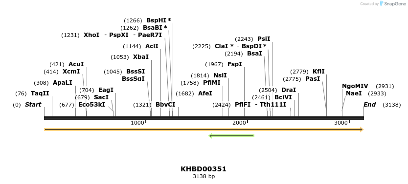41039_map