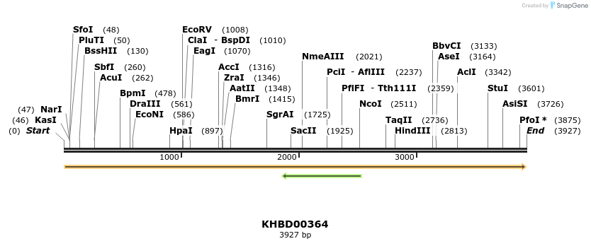 41047_map