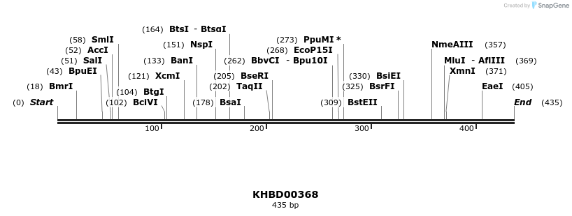 41050_map