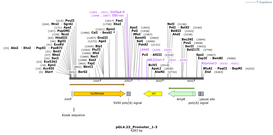 410500_map