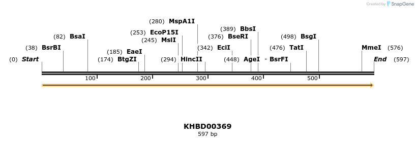 41051_map