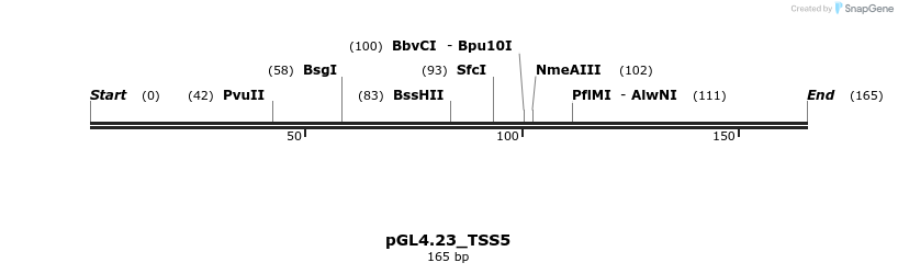 410513_map