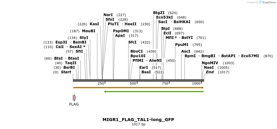 410517_map