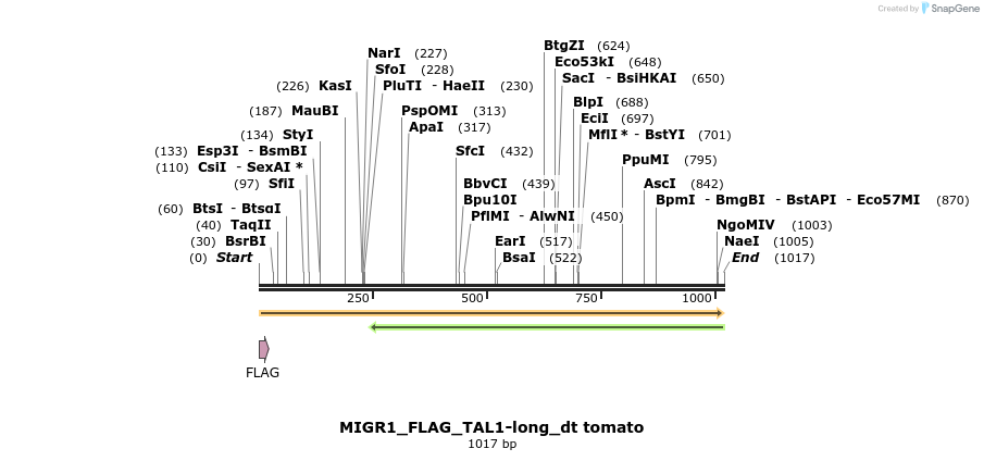 410519_map