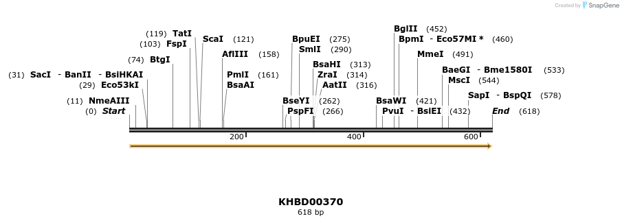 41052_map