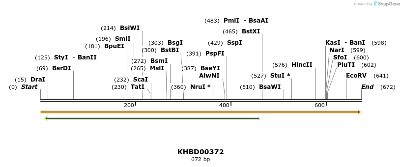 41054_map