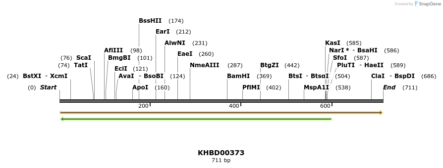 41055_map