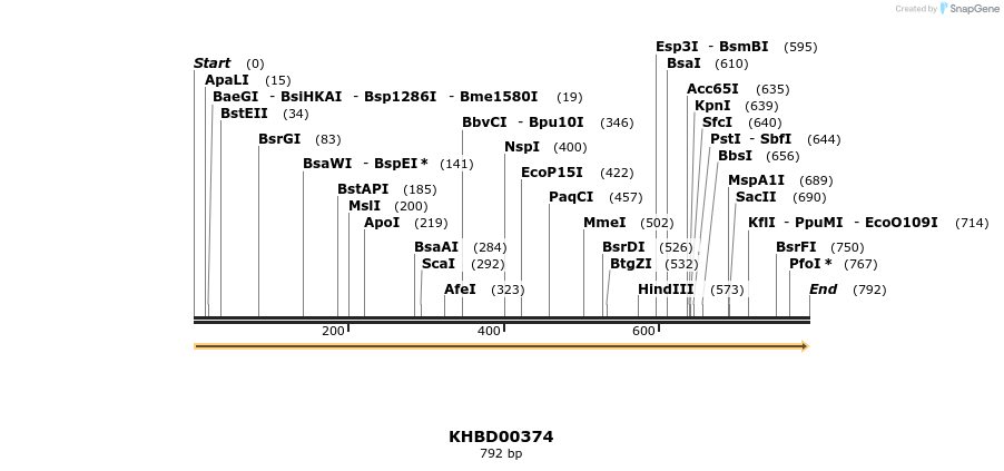 41056_map