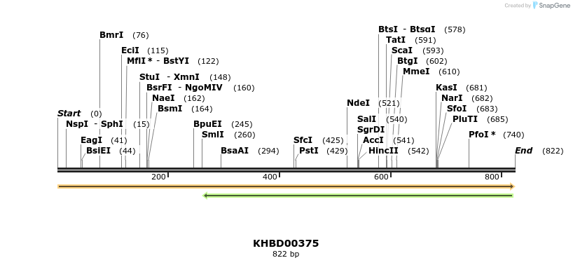 41057_map