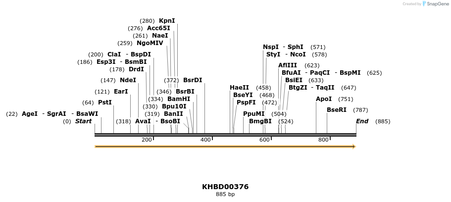 41058_map