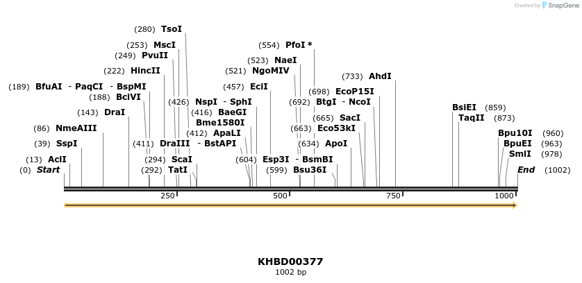 41059_map