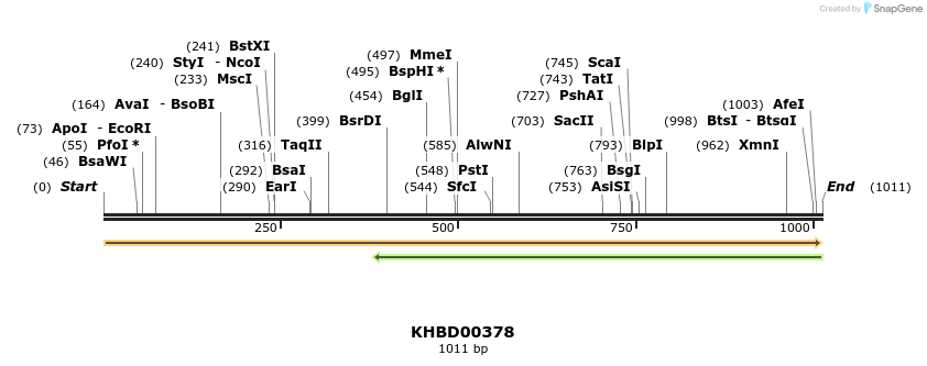 41060_map