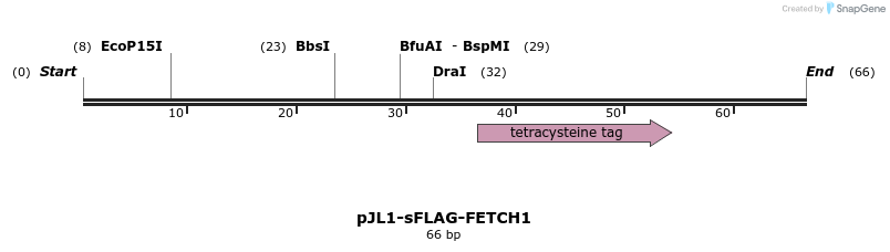 410611_map