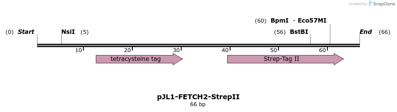 410617_map